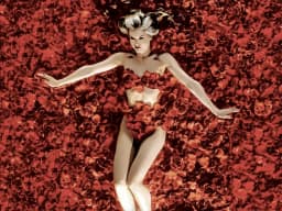 American Beauty