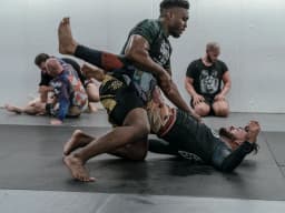 BJJ
