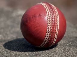 Cricket