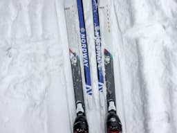 Cross-Country Skiing