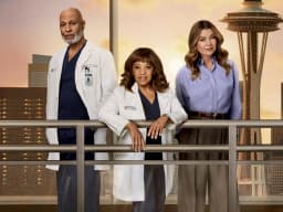 Grey's Anatomy (tv-shows)