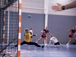 Handball