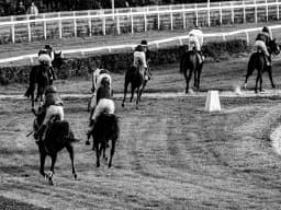 Horse Racing