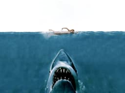 Jaws