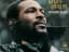 Marvin Gaye