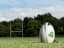 Rugby Union