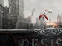 The Handmaid's Tale (tv-shows)